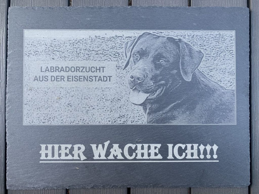Labrador auf einem gut sichtbaren Hinweisschild, das vor einem Hund warnt.