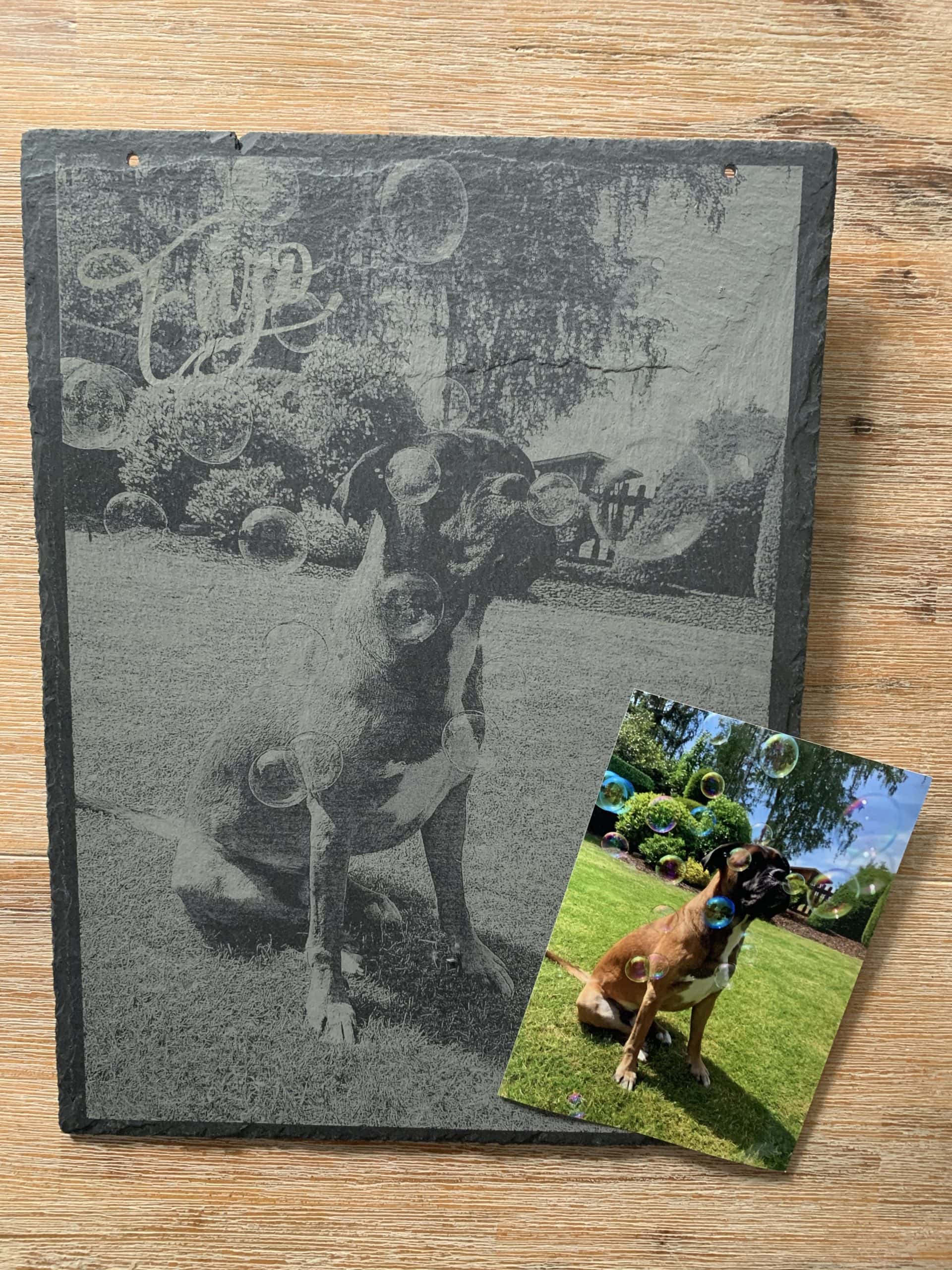 Hundeaufnahme mit Bubble-Effekt, personalisiert durch Lasergravur, auf Schieferplatte, Geschenkidee, Haustierfoto.