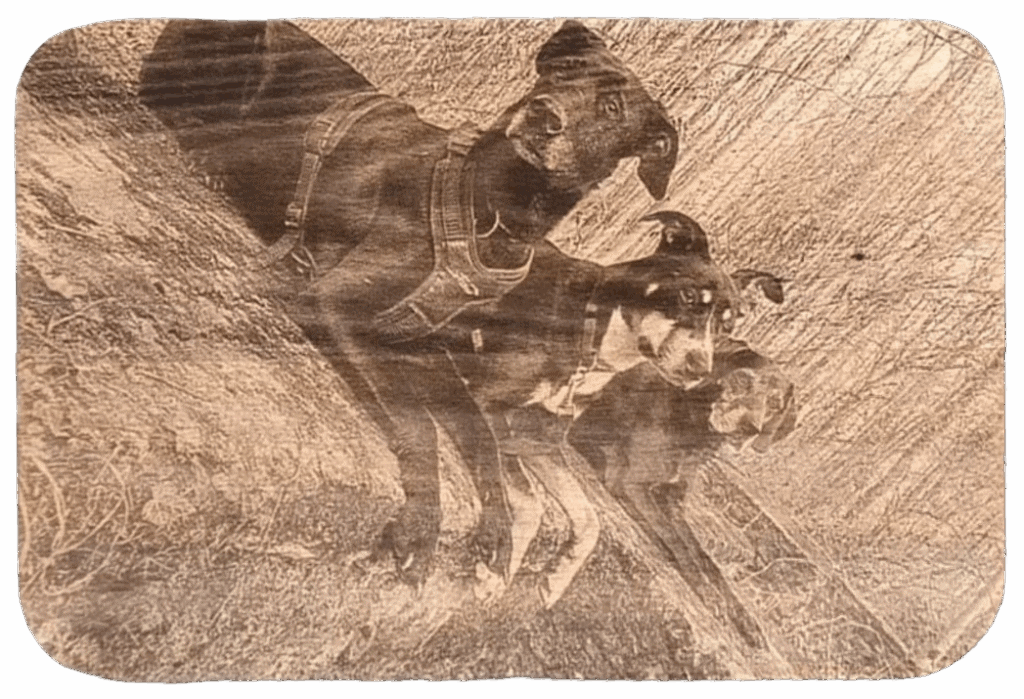 Schwarze Hunde auf Holzgravur, detailreiche Lasergravur von Tierporträt, personalisiertes Geschenk, hochwertiges Holzmaterial, Lübbecke, für Hunde-Liebhaber, als Dekoration geeignet, Kunstwerk für Zuhause, Tierliebhaber-Geschenk.