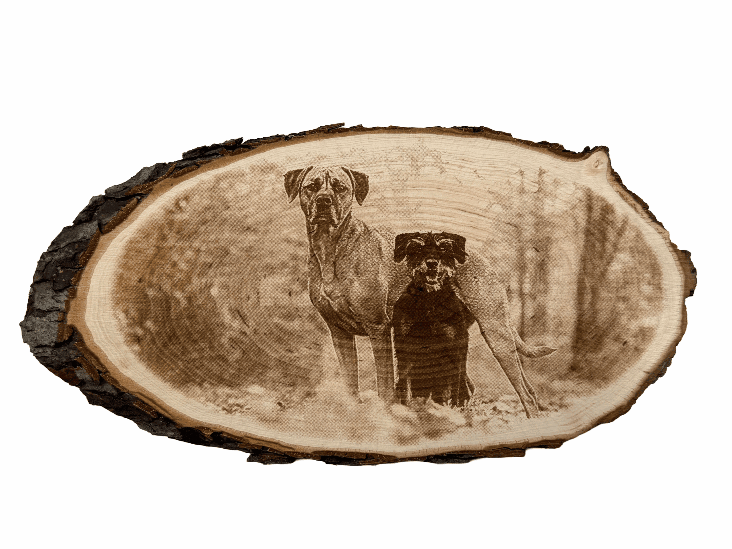 Rindenbrett mit Lasergravur zweier Hunde graviert bei Laserart Kevin Langer